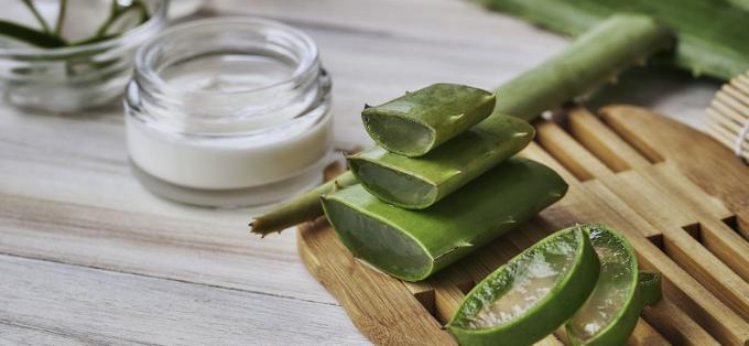 Αλόη Βέρα για την Υγεία των Μαλλιών