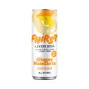 Fhirst Ginger Mandarin 330ml